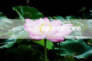 盱眙九宫格人才管理策略