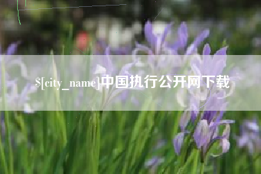 盱眙中国执行公开网下载