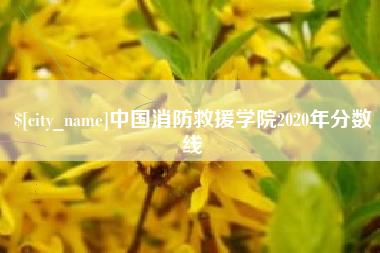 盱眙中国消防救援学院2020年分数线