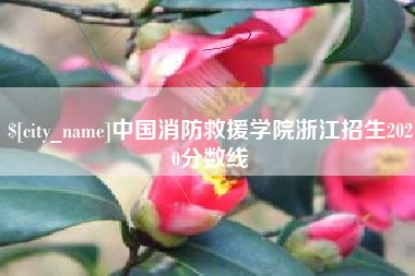 盱眙中国消防救援学院浙江招生2020分数线