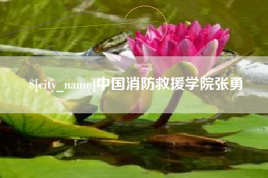 盱眙中国消防救援学院张勇