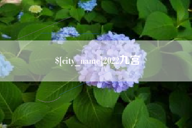盱眙2022九宫