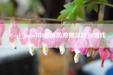 盱眙中国消防救援学院分数线
