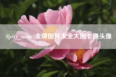 盱眙金牌图片大全大图卡通头像