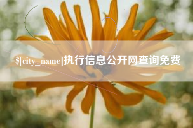 盱眙执行信息公开网查询免费
