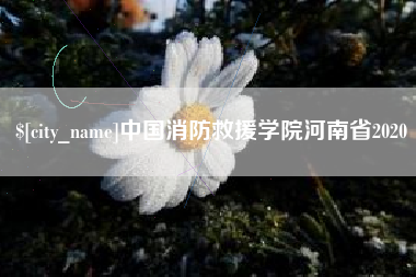 盱眙中国消防救援学院河南省2020